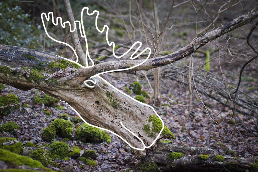 The uncommon appeal of NATURE by Yun Creative Labs