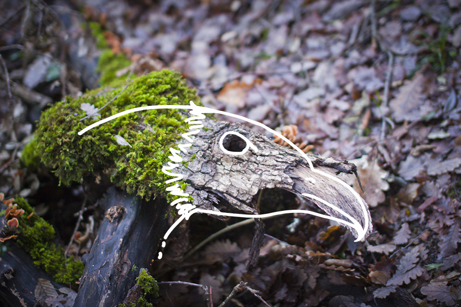 The uncommon appeal of NATURE by Yun Creative Labs