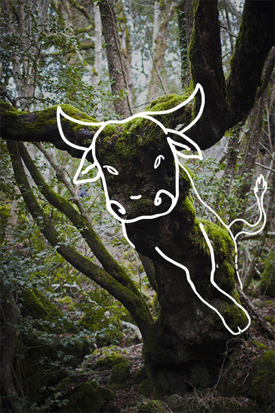 The uncommon appeal of NATURE by Yun Creative Labs